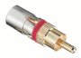 CompressionConnector89-570RCA-RG59RTQ35-Jar.jpg